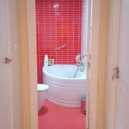 Peset Homestay Valencia